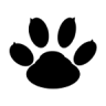 猛兽录音软件下载_猛兽录音软件最新版下载