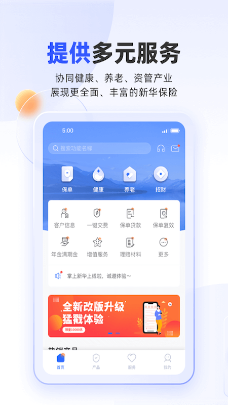 上新