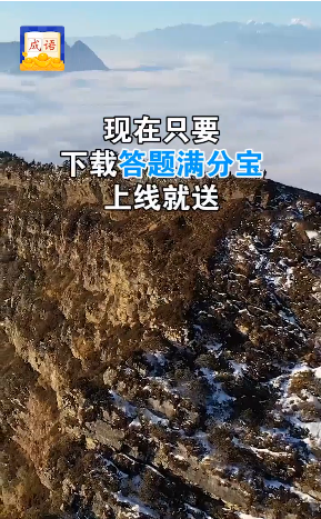 满分宝