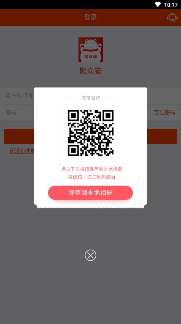 聚众猫