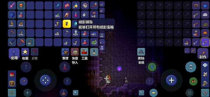 请问大家泰拉瑞亚的大海在哪呢