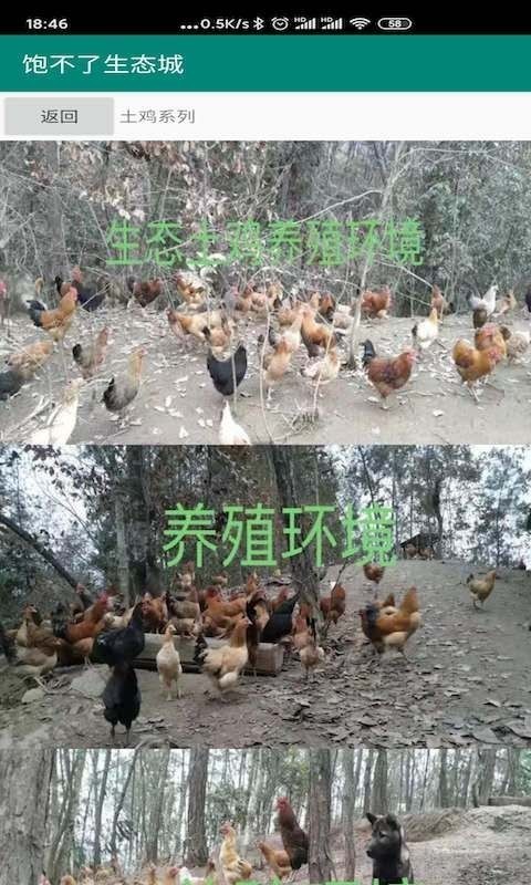 饱不了_截图1