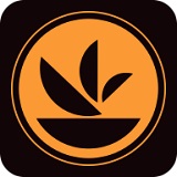 懂菜
