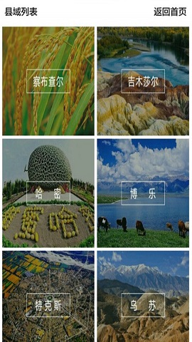 移动巴扎_截图2