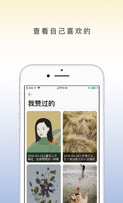 西柚壁纸