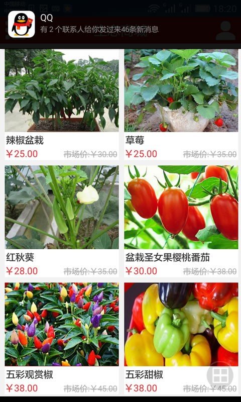 生态休闲