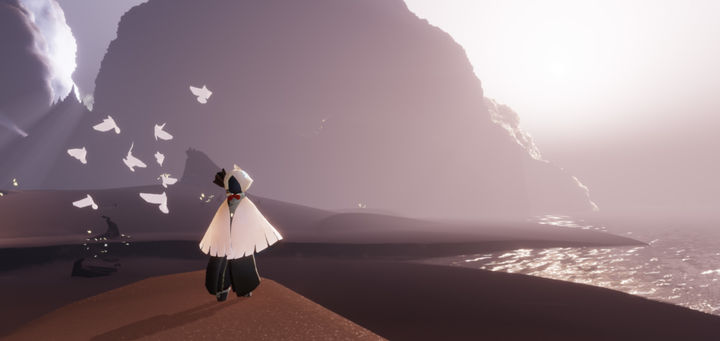 光遇中的雨林树屋需要怎样的星星