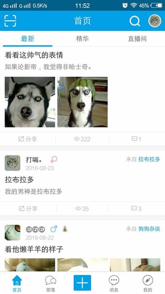爱爪