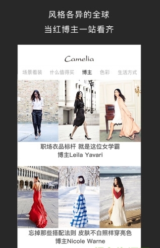 camelia山茶花_截图2