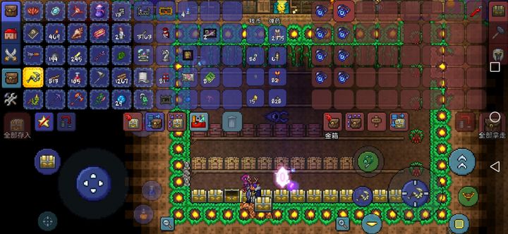 泰拉瑞亚地牢宝箱怎么打开才能获得宝物