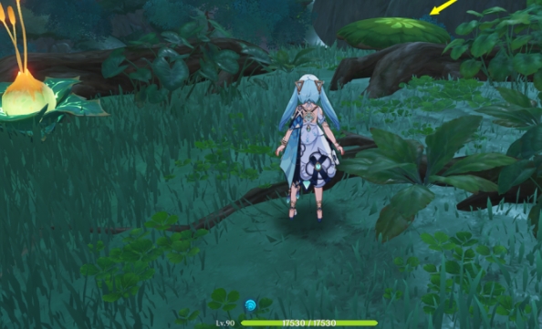 原神游戏中是否有特定的途径可以获得蒲公英 原神游戏中是否有特定的途径可以获得蒲公英