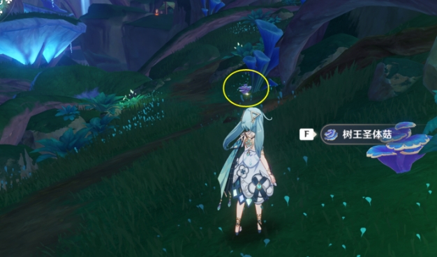 原神游戏中是否有特定的途径可以获得蒲公英 原神游戏中是否有特定的途径可以获得蒲公英