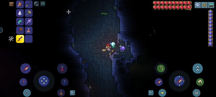 泰拉瑞亚宠物可以增加游戏乐趣吗