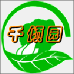 千倾园