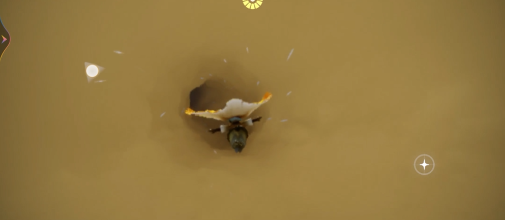 有什么窍门能cook出美味的光遇平菇