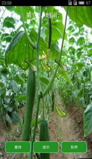 爱玩蔬菜