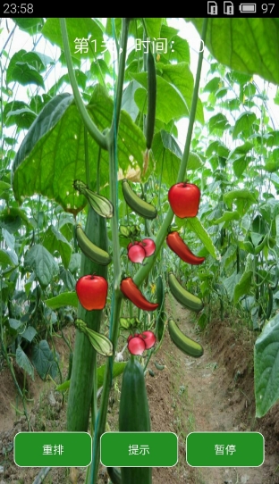 爱玩蔬菜