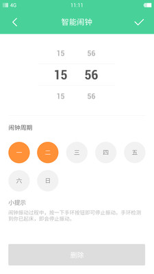 豚鼠手环