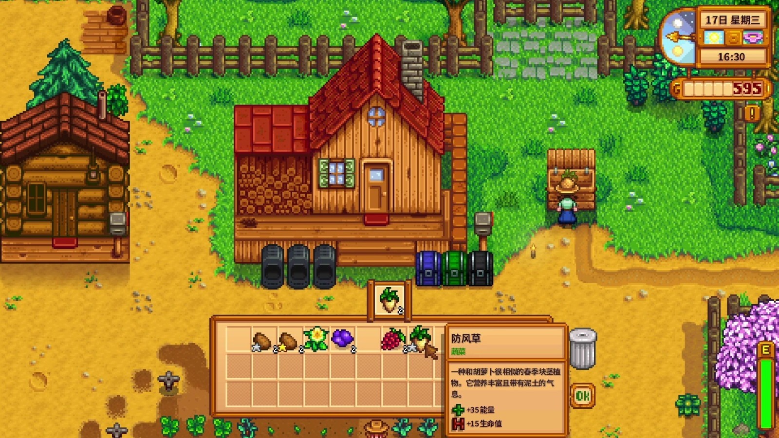 在星露谷物语中与海莉约会的窍门是什么 在星露谷物语中与海莉约会的窍门是什么