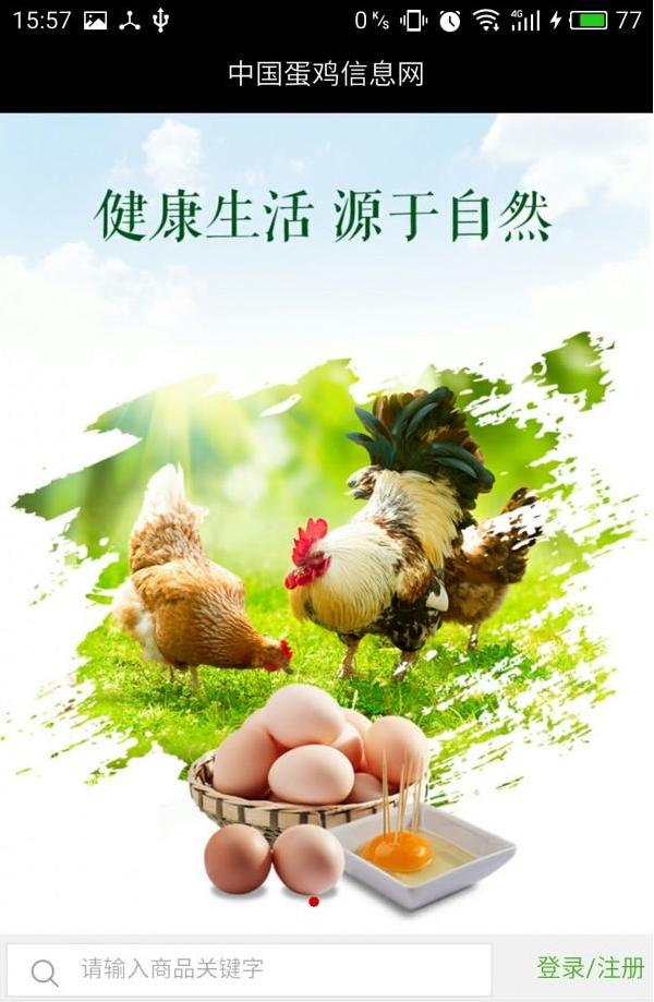 蛋鸡信息网