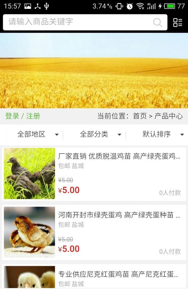 蛋鸡信息网