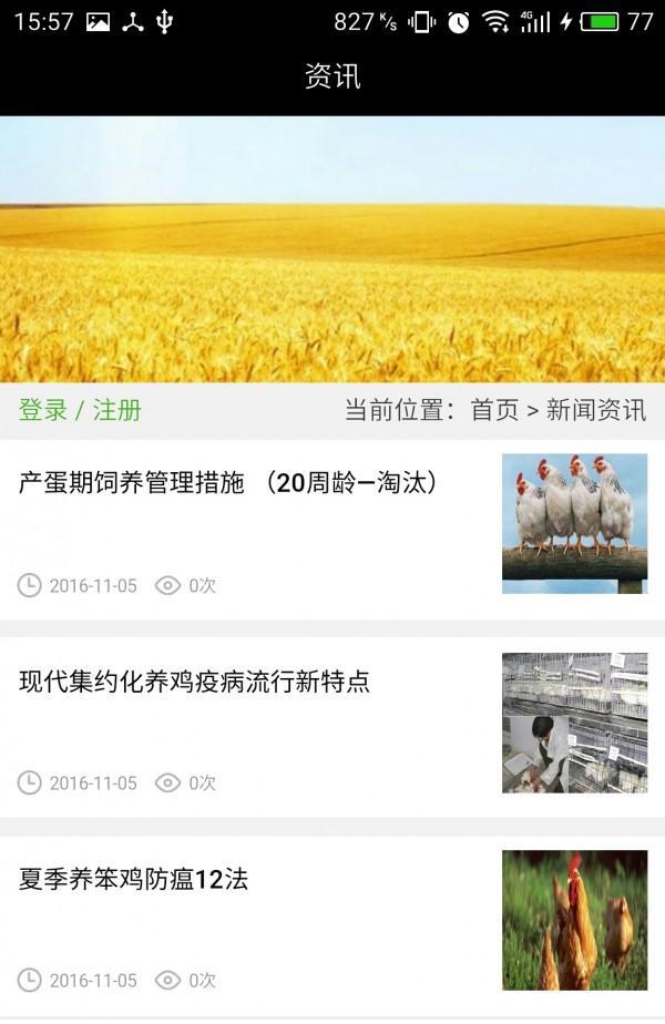 蛋鸡信息网