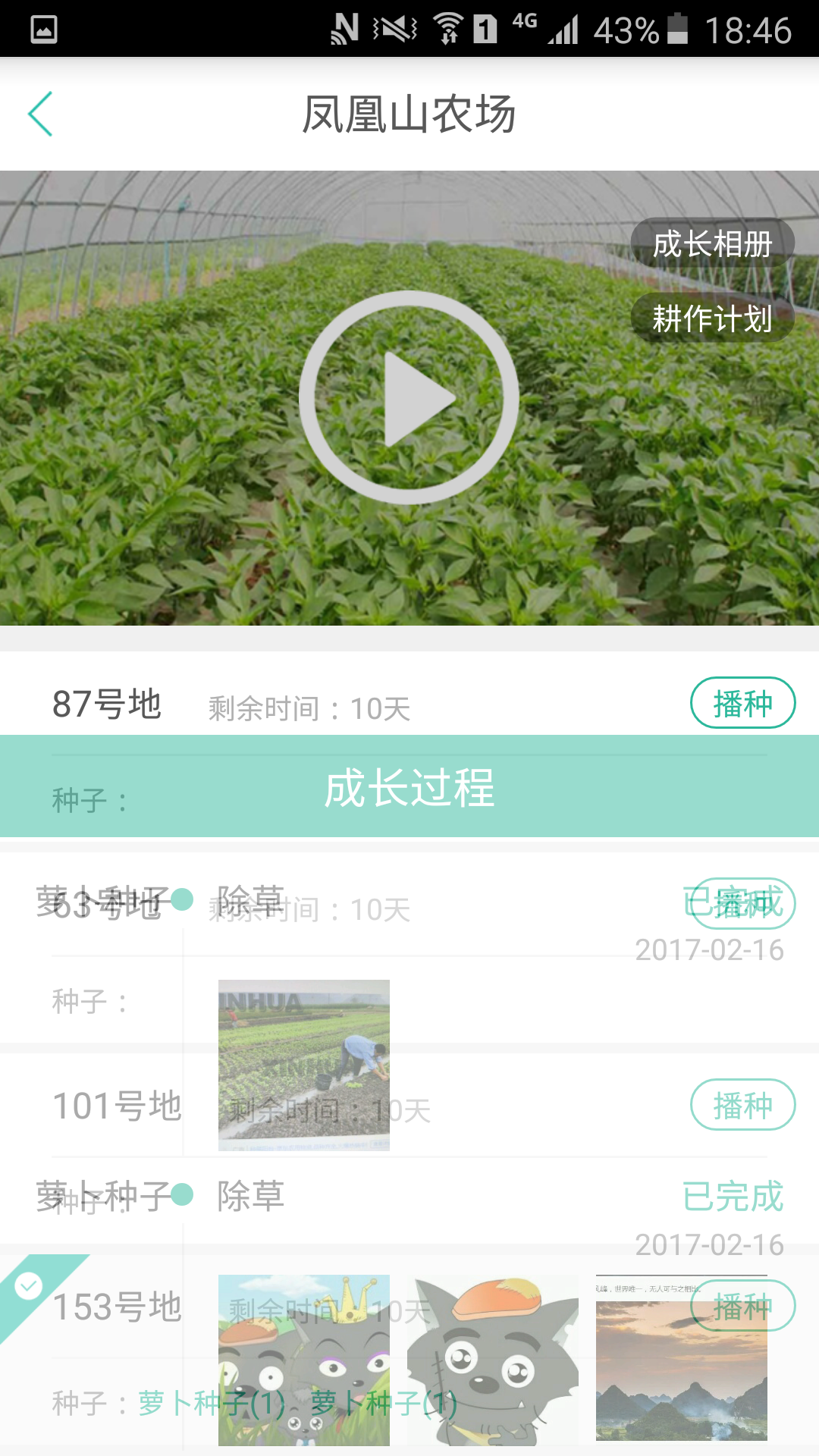 网农公社