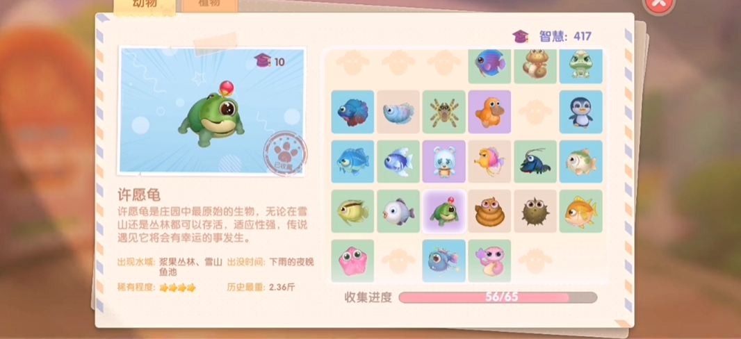 摩尔庄园祥云如何选择合适的装备