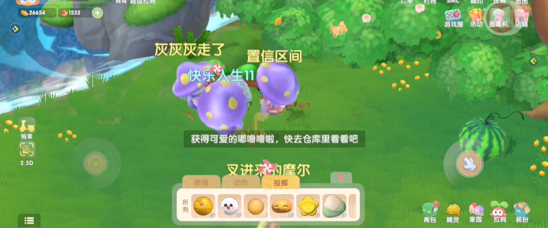 摩尔庄园导游桌放在哪个区域合适