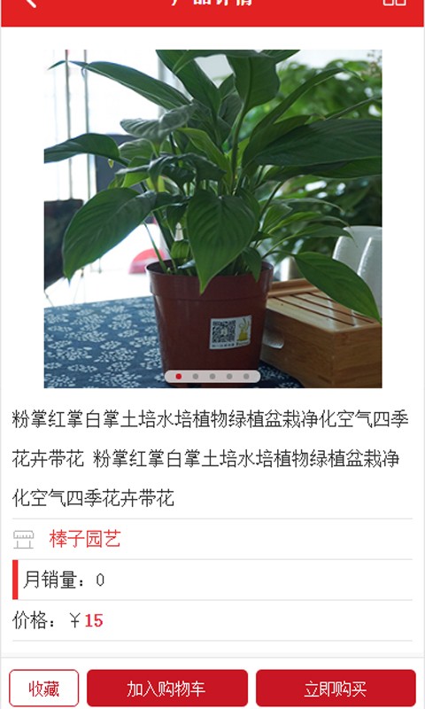 棒仔园艺