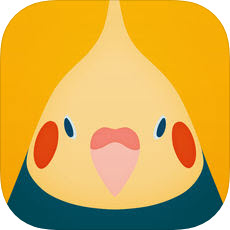 鸟类壁纸