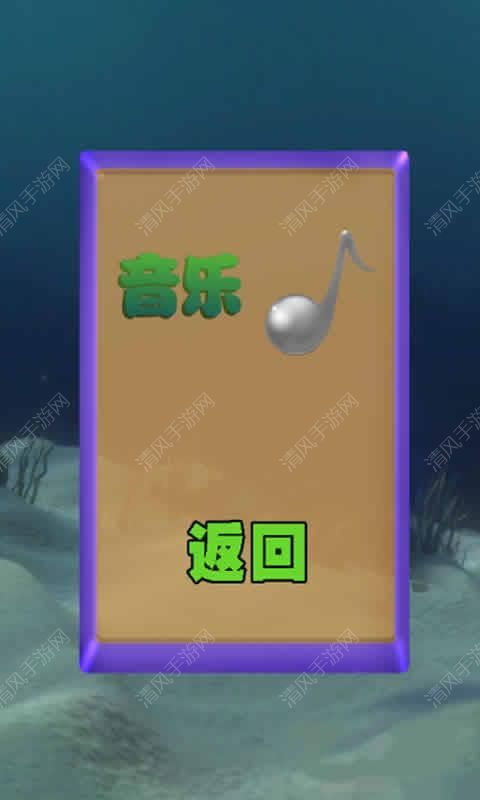 漂游的乌龟