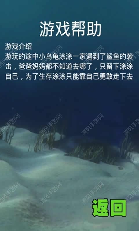 漂游的乌龟