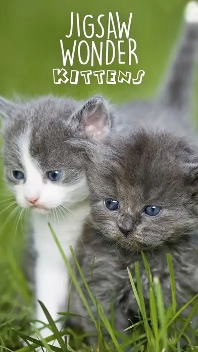 拼图神奇小猫_截图4