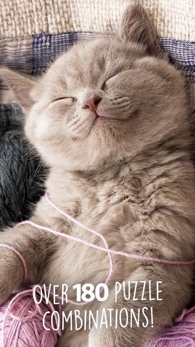 拼图神奇小猫_截图2