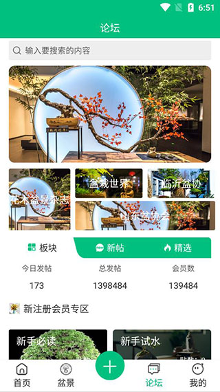 安徽盆景网