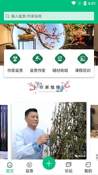 安徽盆景网