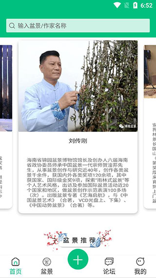安徽盆景网