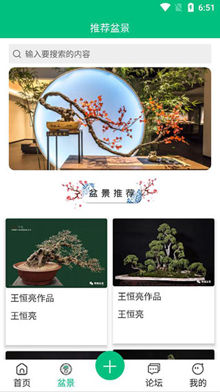 安徽盆景网