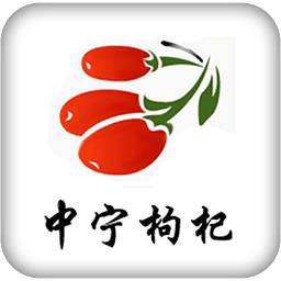 中宁枸杞