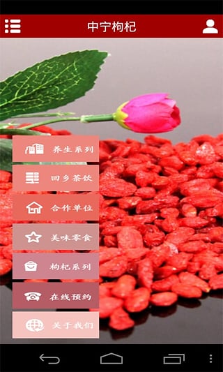 中宁枸杞_截图3