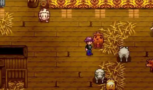 星露谷物语的垃圾桶升级有何实质作用