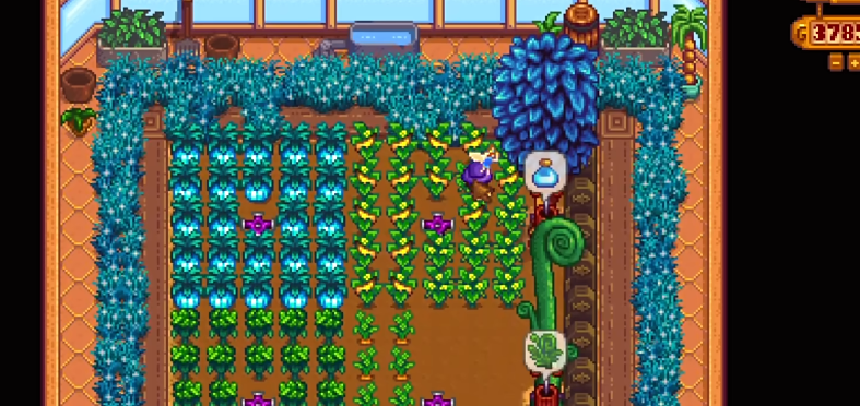 如何在星露谷物语生出二胎并且得到幸福