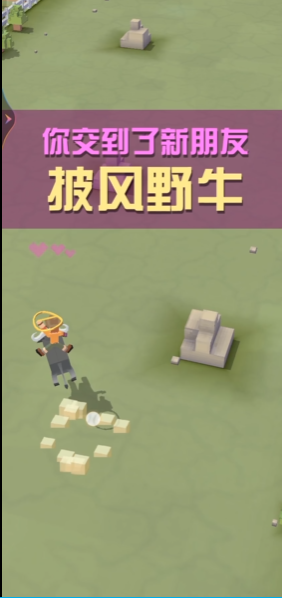 疯狂动物园中有几种熊的品种