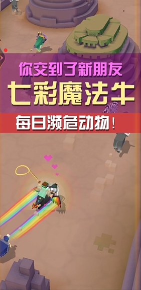 疯狂动物园中有几种熊的品种