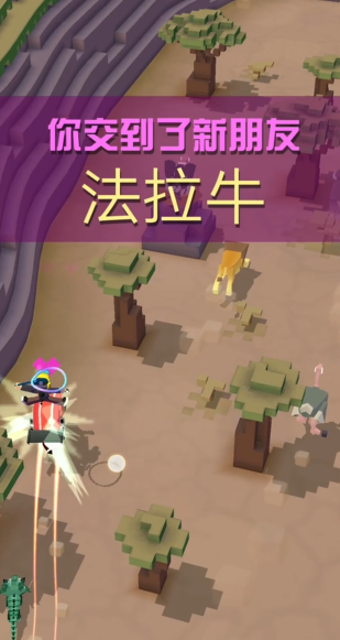 疯狂动物园中有几种熊的品种