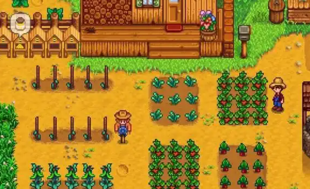 星露谷物语中怎么能与罗宾结婚 星露谷物语中怎么能与罗宾结婚