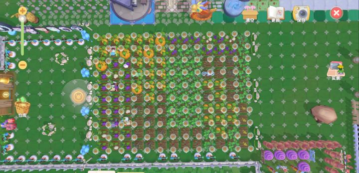 丝尔特如何来到你的摩尔庄园