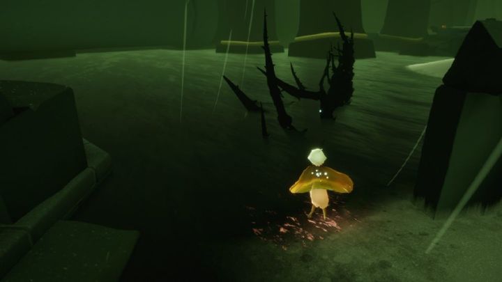 在光遇中如何判定一个人是男性还是女性 在光遇中如何判定一个人是男性还是女性