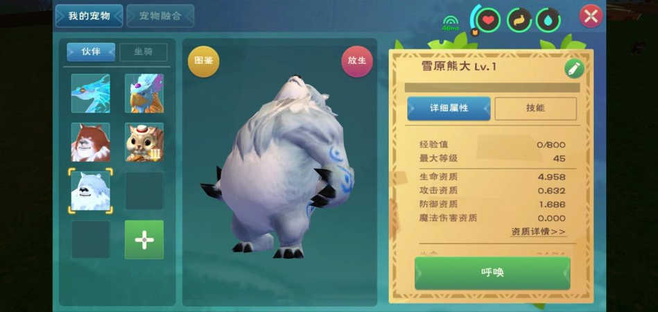 创造与魔法蝾螈宠物是否适合水中